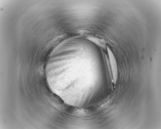 X0000088650611200706221612