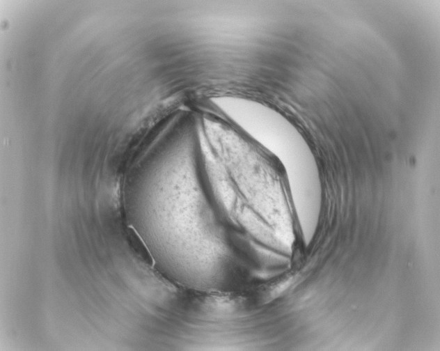 X0000088650613200706221612