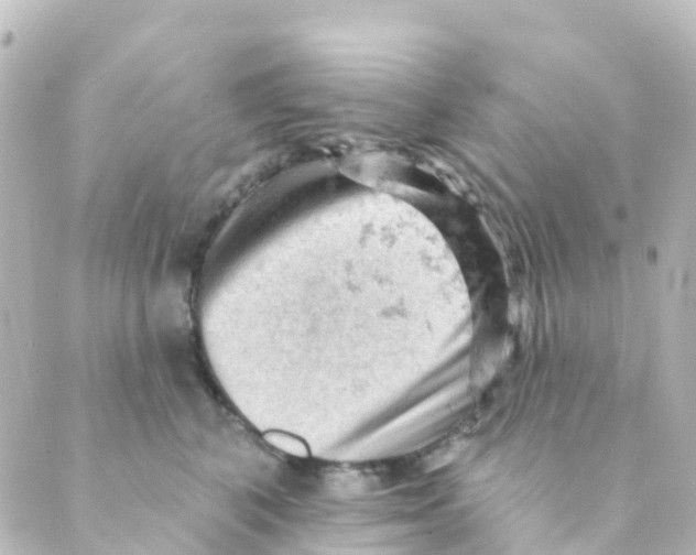 X0000088650616200706221612