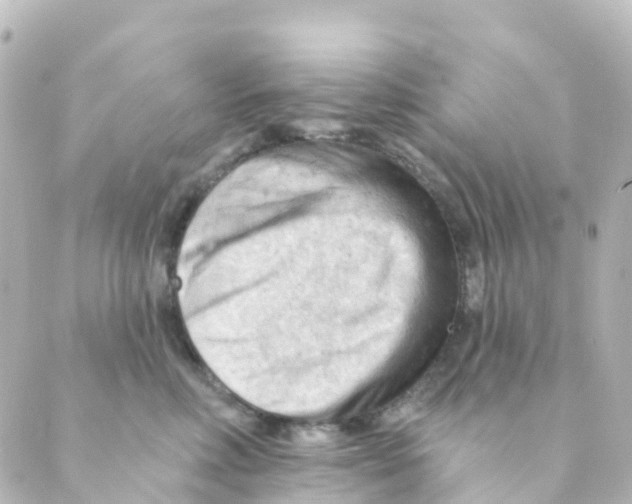 X0000088650618200706221612