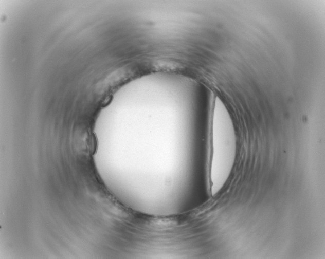 X0000088650619200706221612