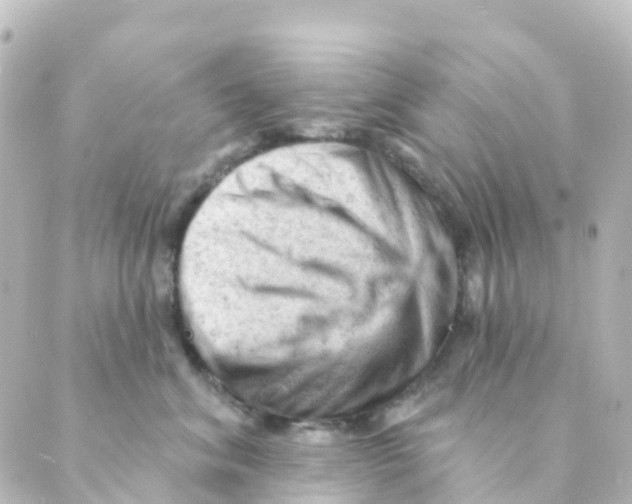 X0000088650620200706221612