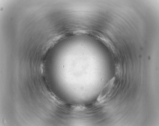 X0000088650621200706221612