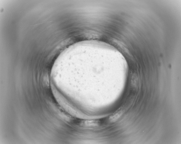 X0000088650622200706221612