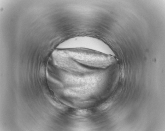 X0000088650623200706221612