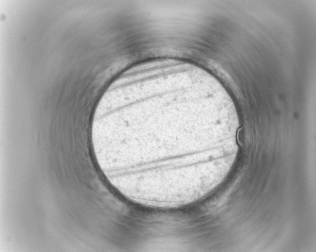 X0000088650625200706221611