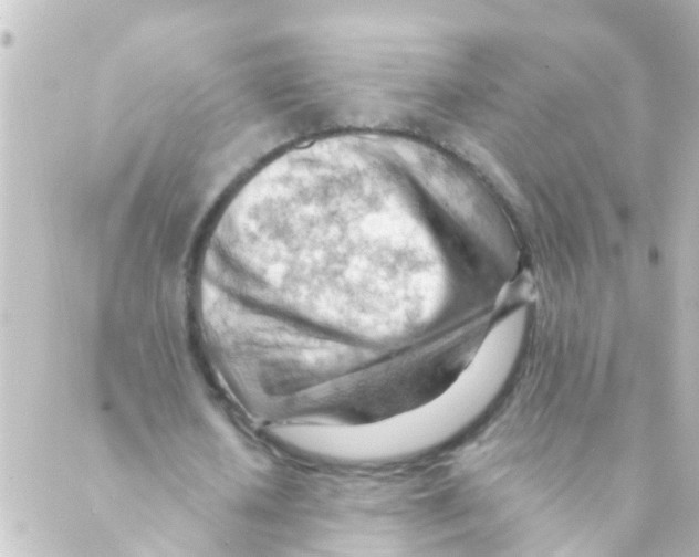 X0000088650626200706221611