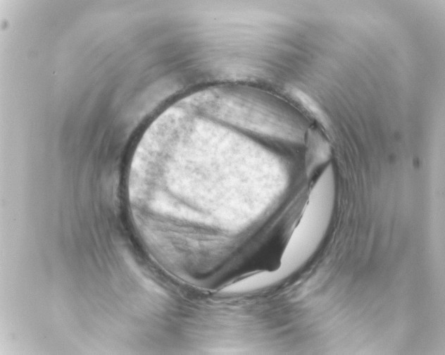 X0000088650627200706221611