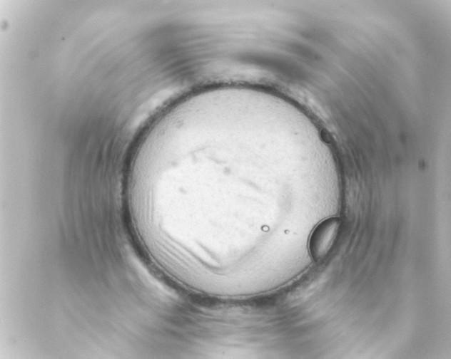 X0000088650629200706221611