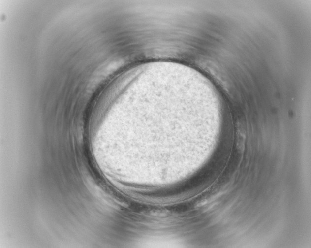 X0000088650631200706221611