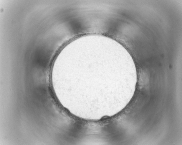 X0000088650632200706221611