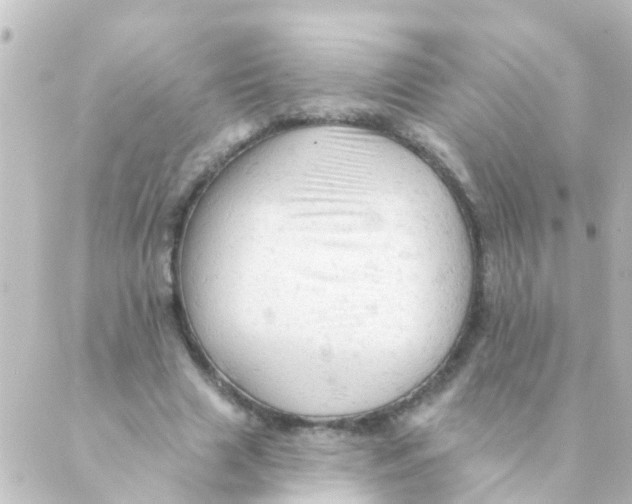 X0000088650633200706221611