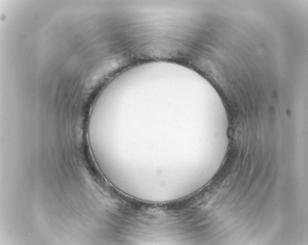 X0000088650635200706221611