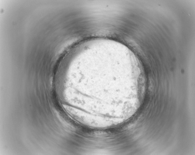 X0000088650636200706221611