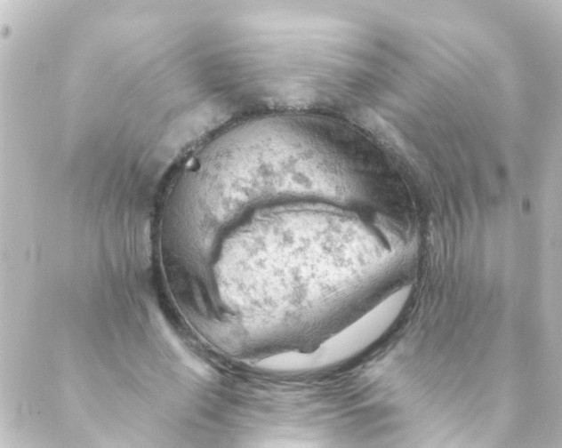 X0000088650638200706221611