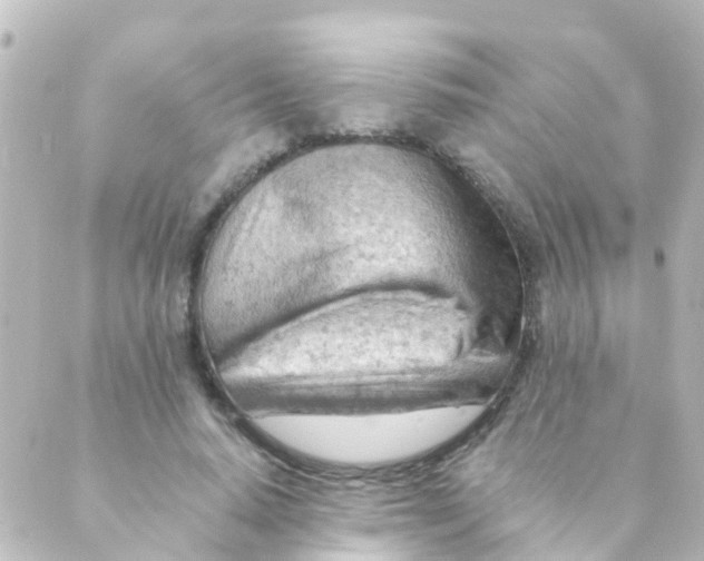 X0000088650640200706221611