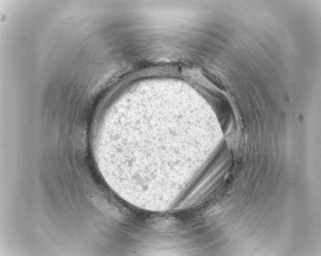 X0000088650642200706221611