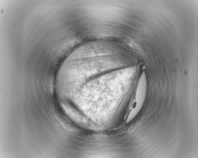 X0000088650644200706221611