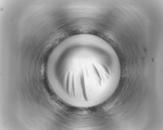 X0000088650646200706221611