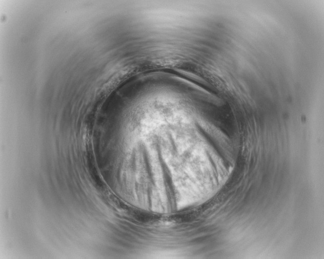 X0000088650647200706221611