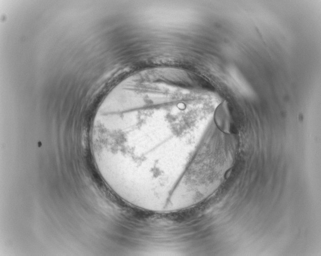 X0000088650648200706221611