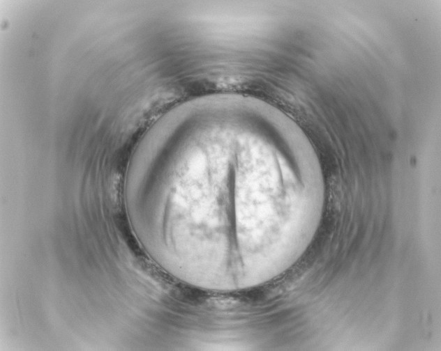 X0000088650650200706221611