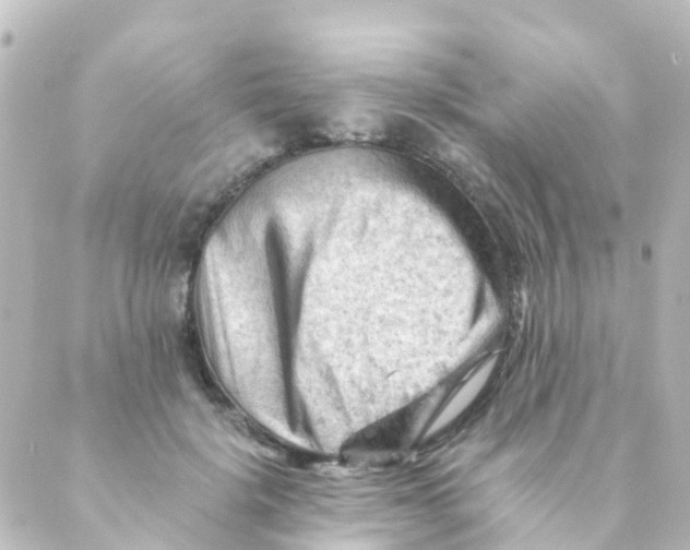 X0000088650652200706221611