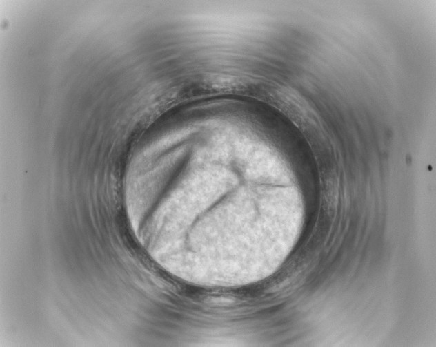 X0000088650653200706221612