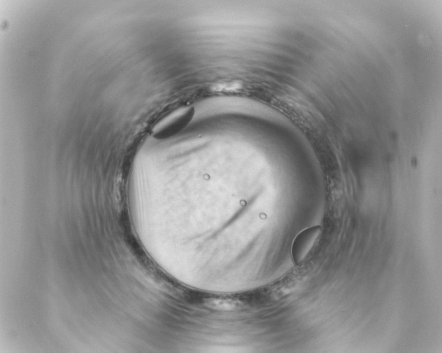 X0000088650654200706221612