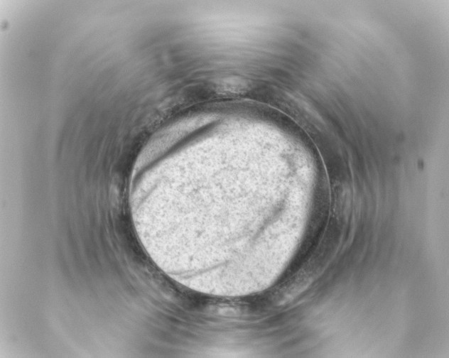 X0000088650655200706221612