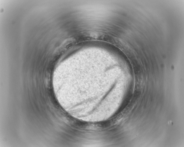 X0000088650656200706221612