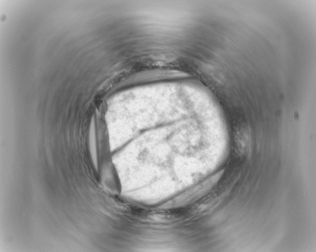 X0000088650657200706221612