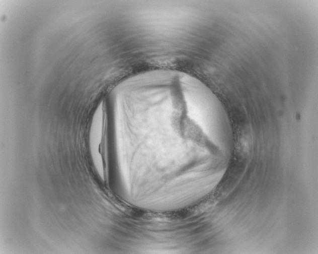 X0000088650658200706221612