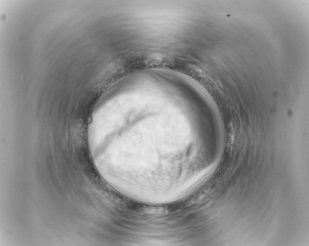 X0000088650659200706221612