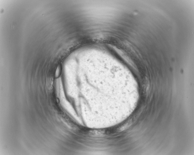 X0000088650660200706221612