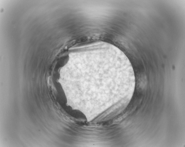 X0000088650661200706221612