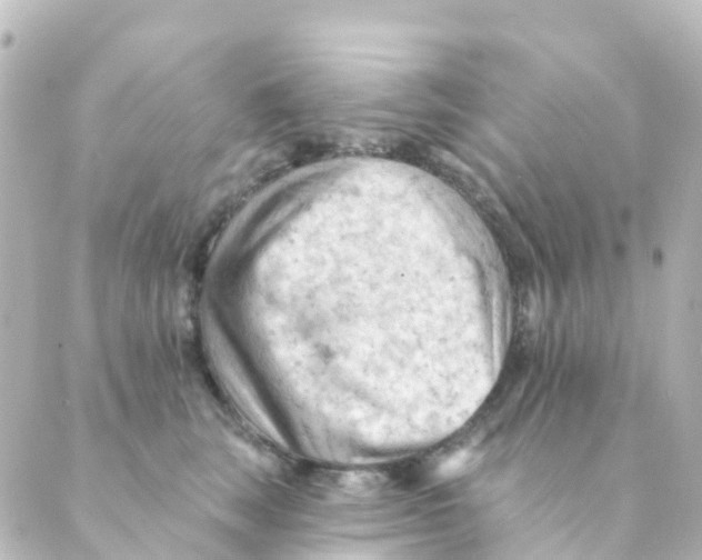 X0000088650663200706221612