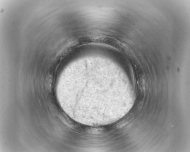 X0000088650664200706221612