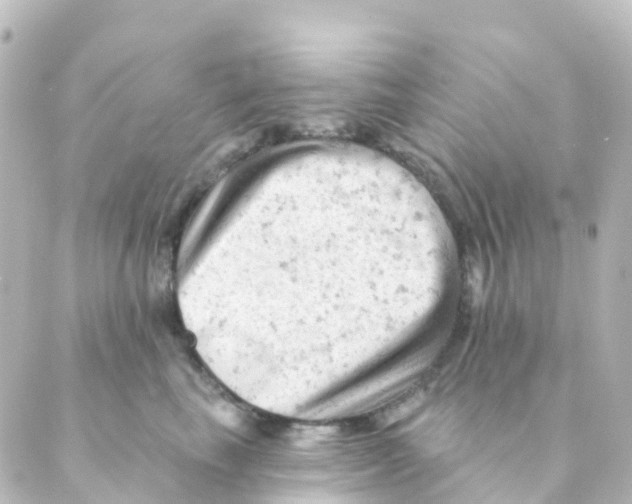 X0000088650665200706221612