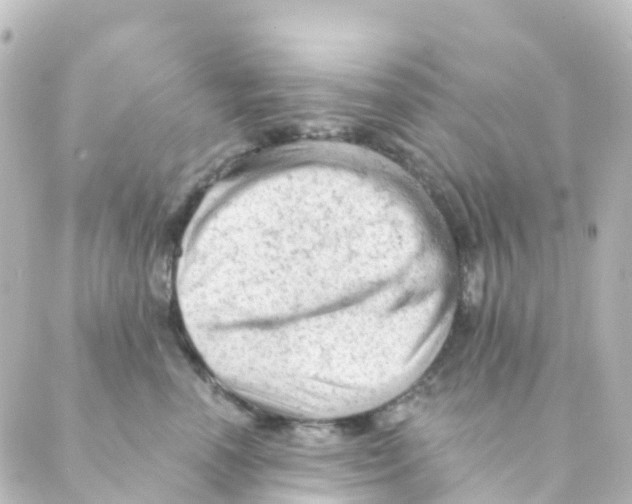 X0000088650666200706221612