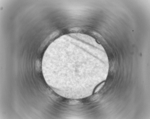 X0000088650669200706221612