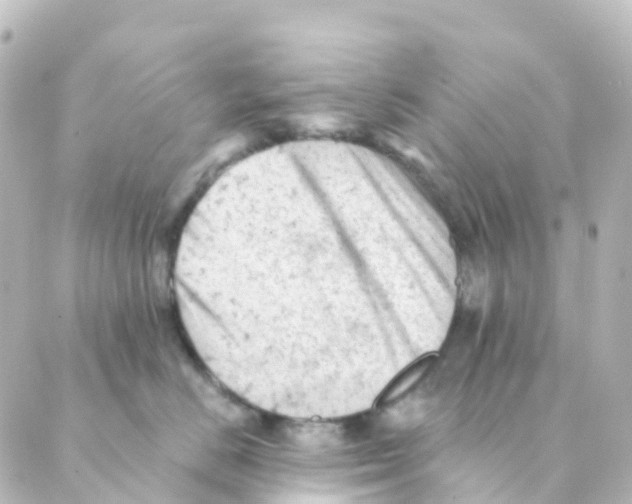 X0000088650670200706221612