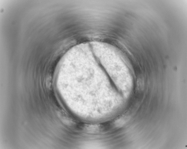 X0000088650671200706221612