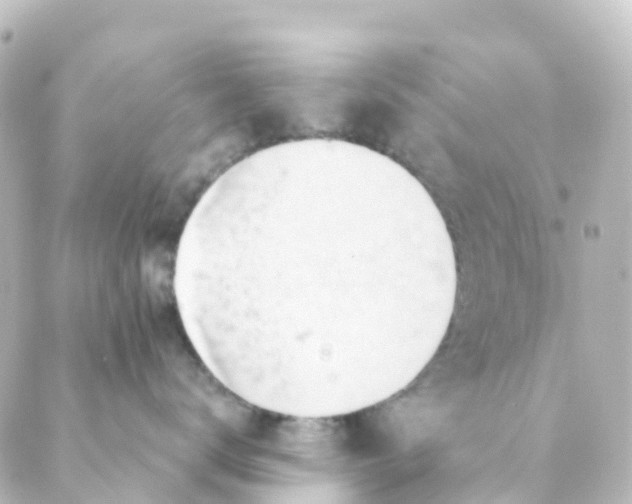 X0000088650672200706221612