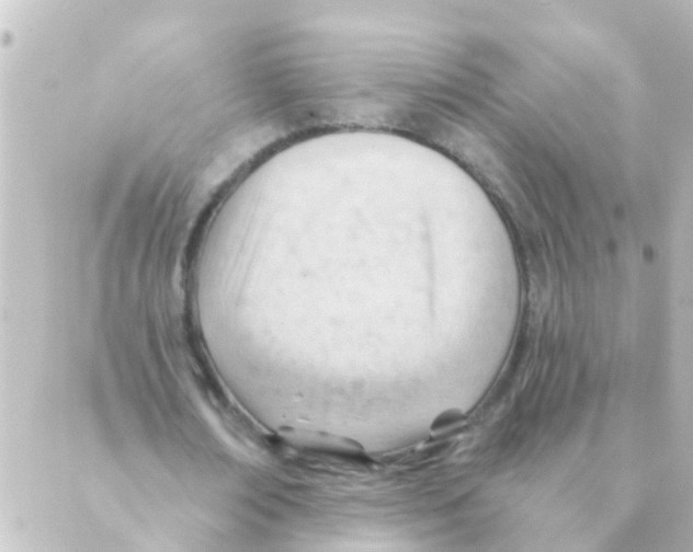 X0000088650674200706221611