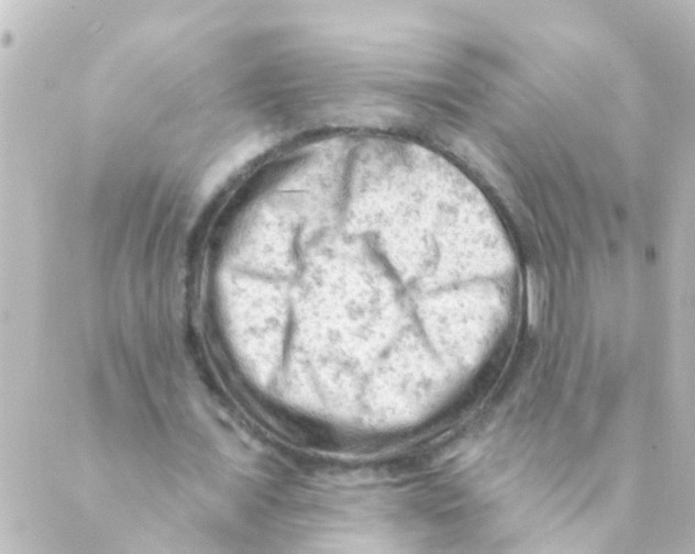 X0000088650675200706221611