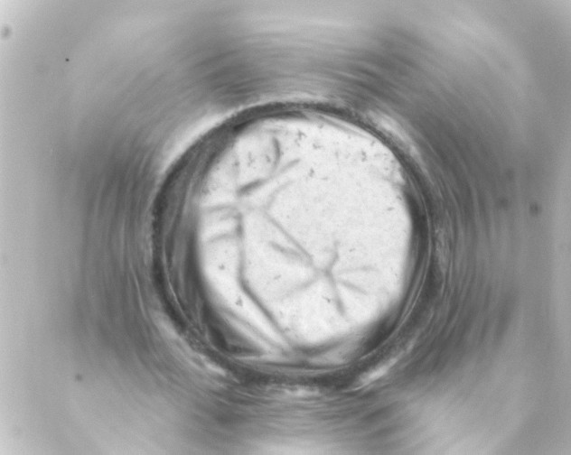 X0000088650676200706221611