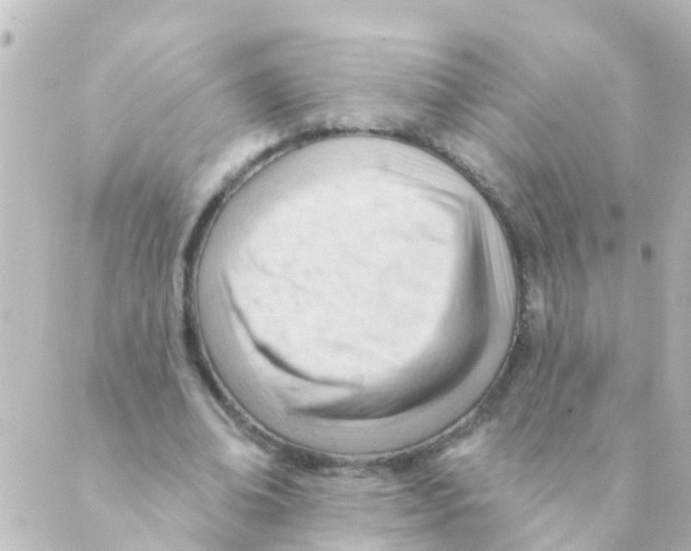 X0000088650678200706221611