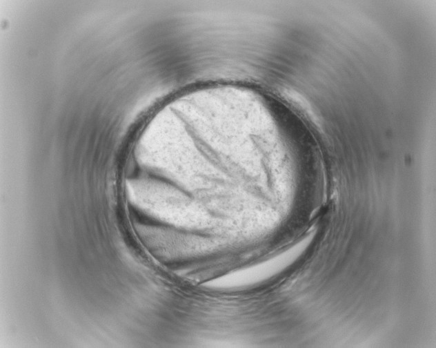 X0000088650680200706221611