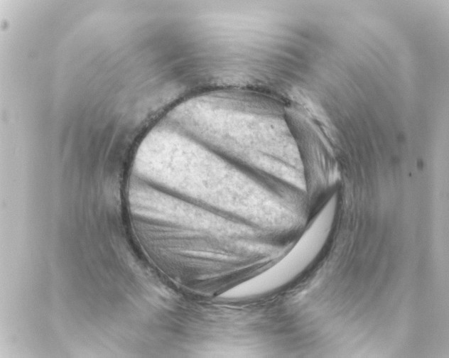 X0000088650681200706221611